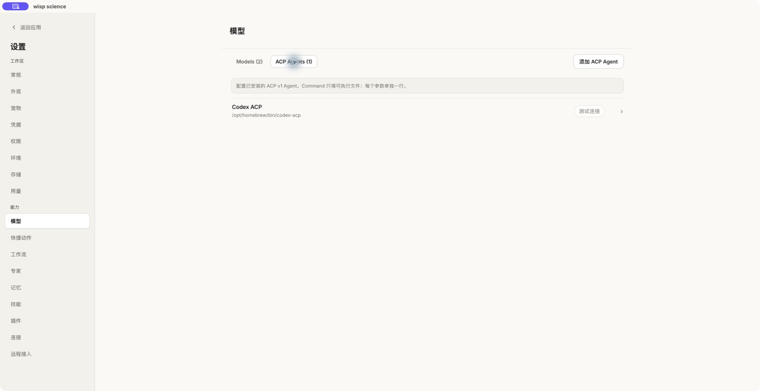 模型设置中的 ACP Agents 分类